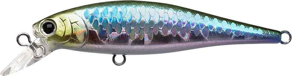 Pointer 65SP - Image 41
