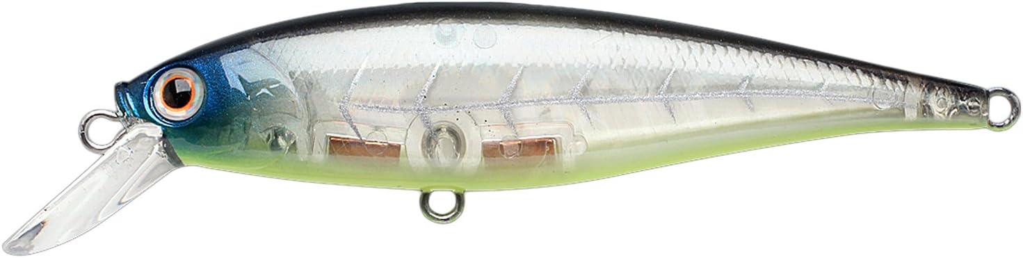 Pointer 65SP - Image 42