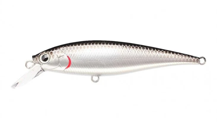 Pointer 65SP - Image 43