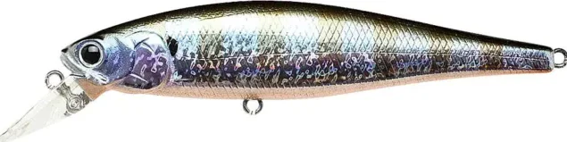 Pointer 65SP - Image 44