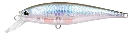 Pointer 65SP - Image 46
