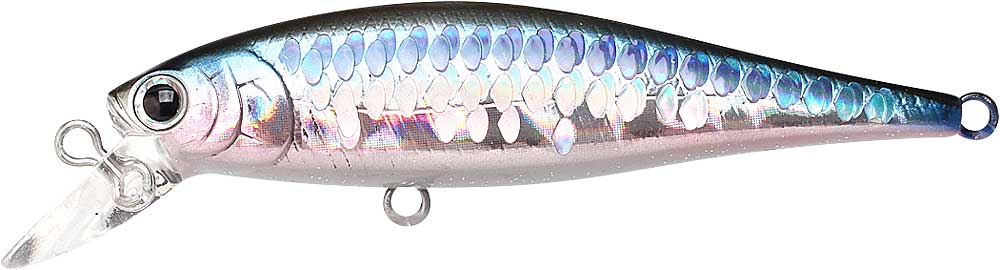 Pointer 65SP - Image 47