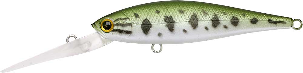 Pointer 65XD - Image 6