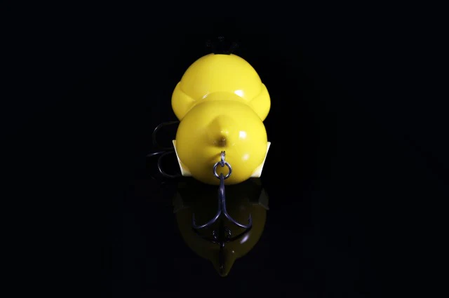 Pokemon Psyduck Lure - Image 4