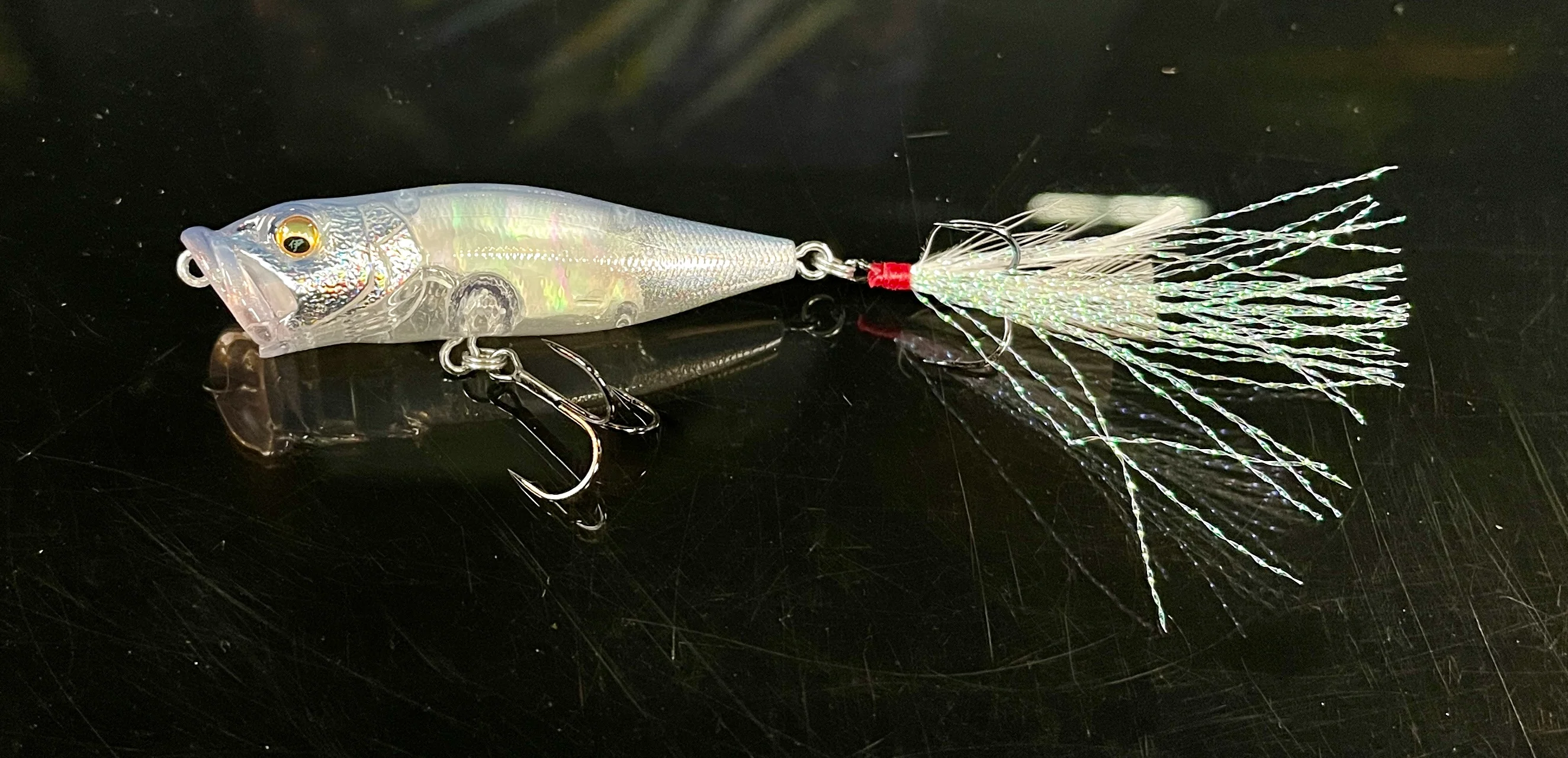 Pop-X Abalone Bright Series - Image 4