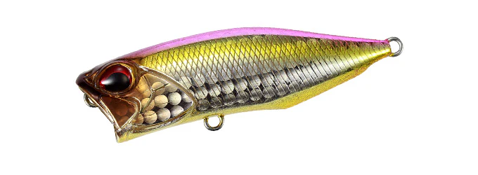 Popper 64 - Image 22