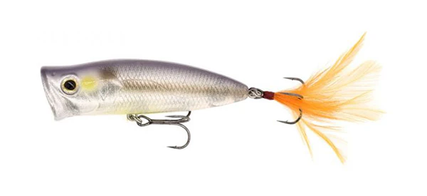 Pulse Cod - Image 13