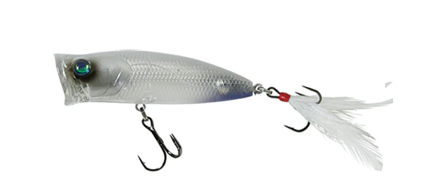 Pulse Cod - Image 7