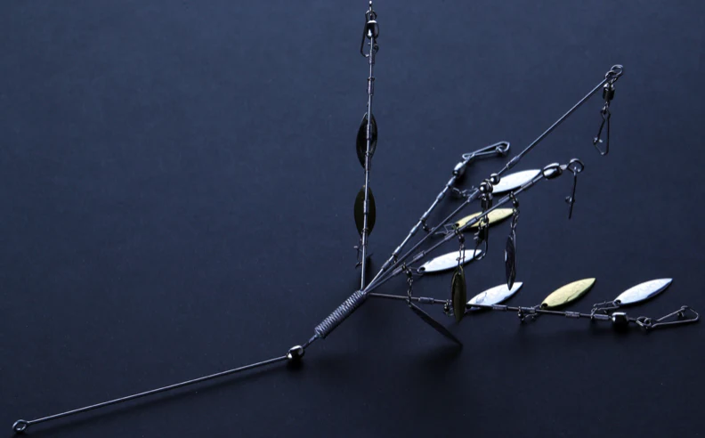 R-Vanguard - Image 2