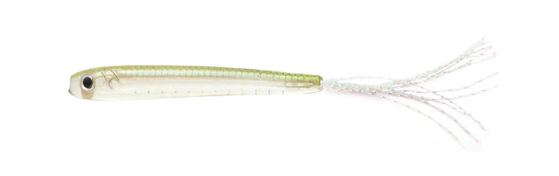 Rainbow Shad - Image 3