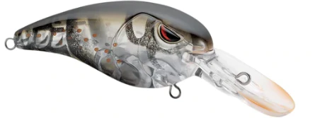 Rock Crawler 55 - Image 20