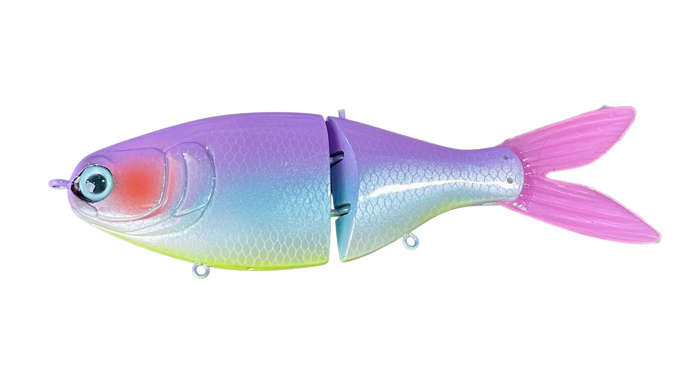 RS Shad - Image 2