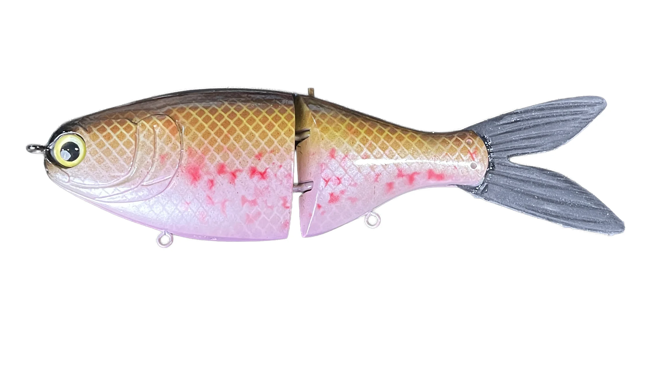 RS Shad - Image 3