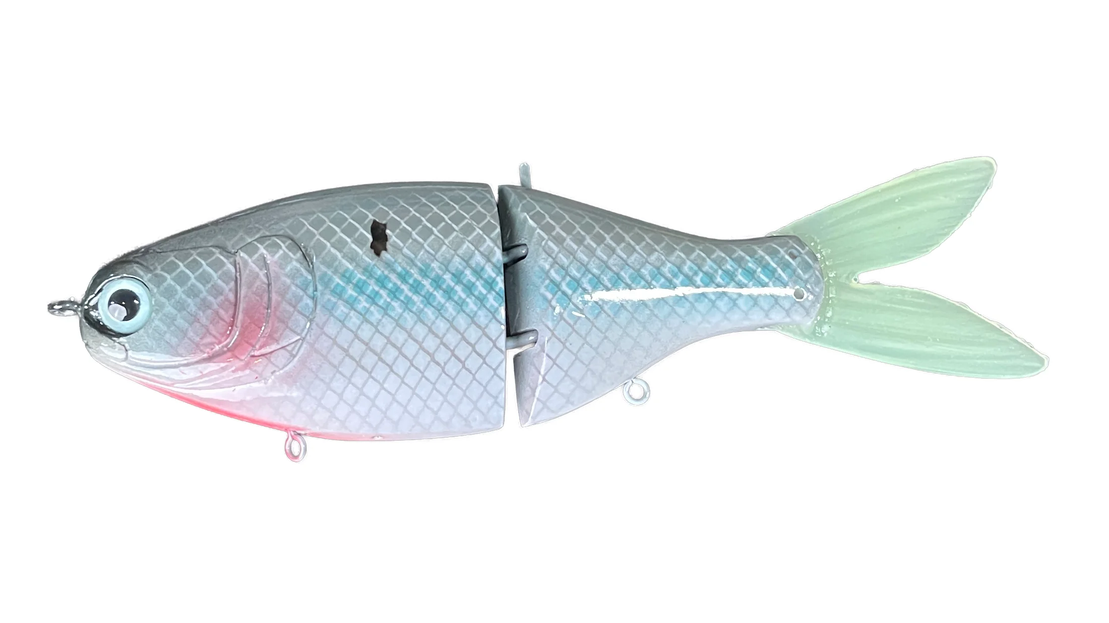 RS Shad - Image 4