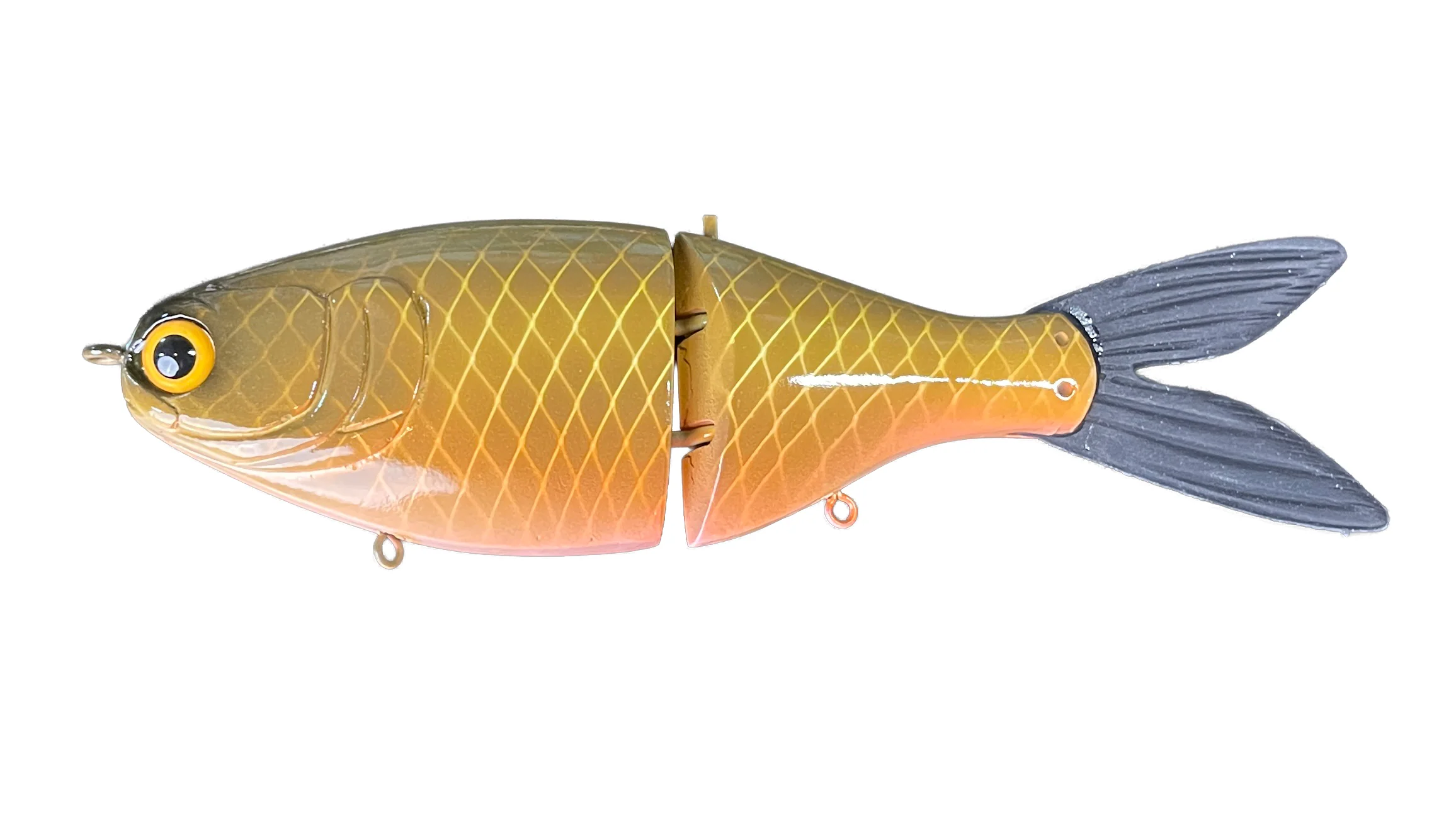 RS Shad - Image 5