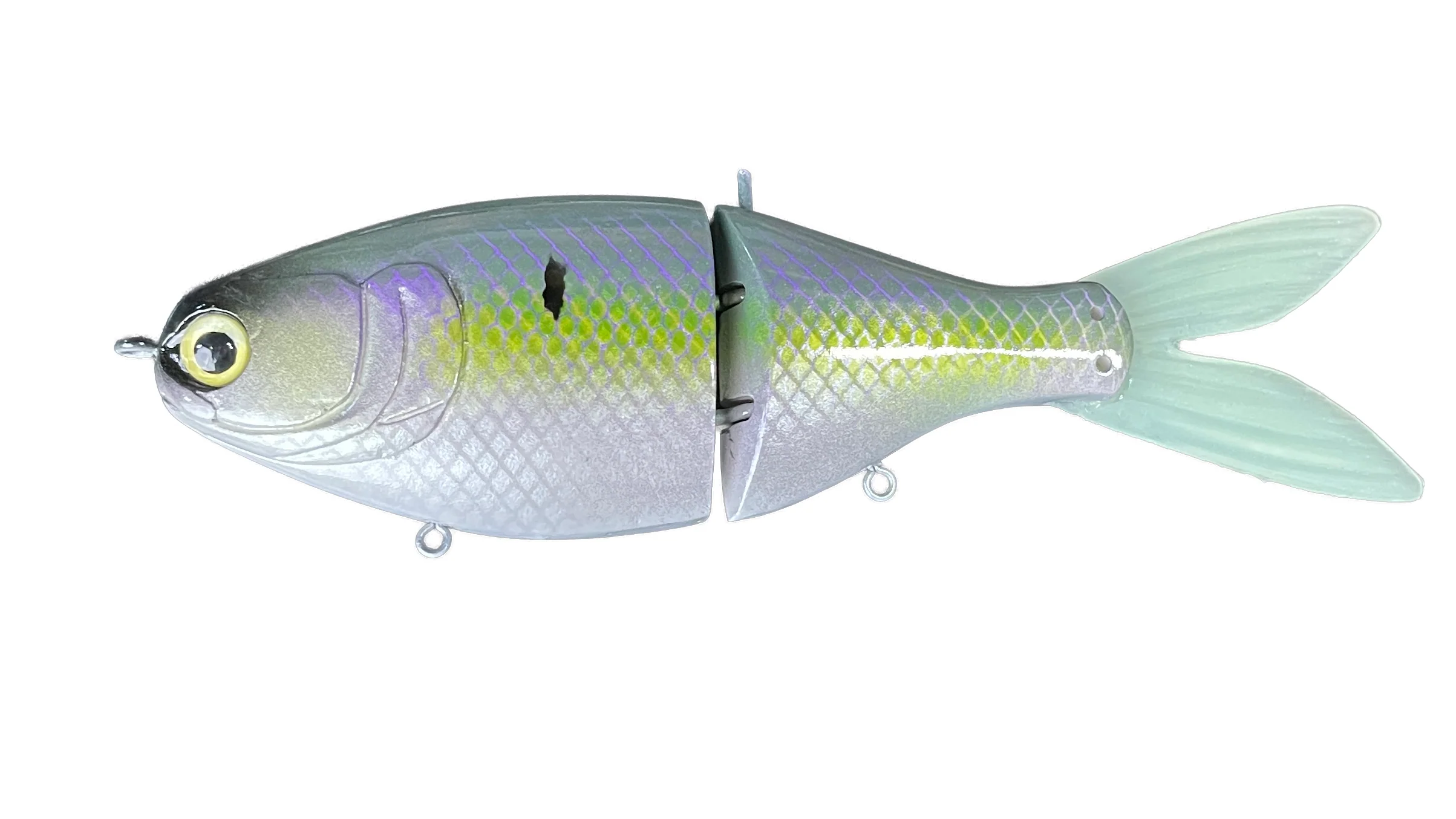 RS Shad - Image 6