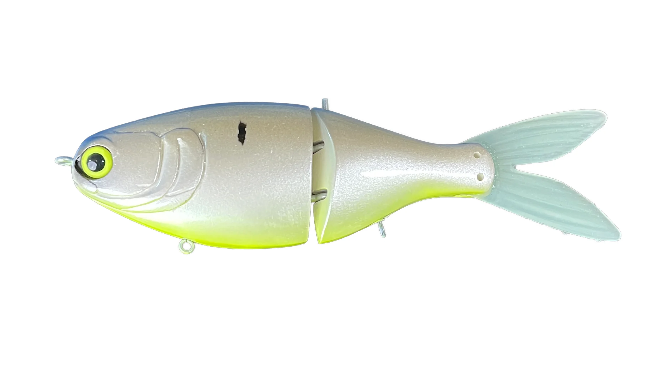 RS Shad - Image 7