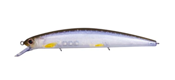 Rudra 130SP - Image 10