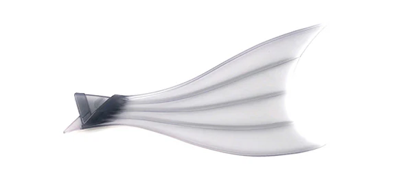 Rumble Fish Tail - Image 3