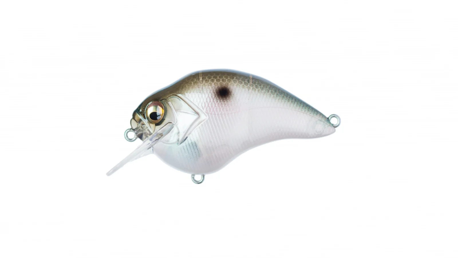 S Crank - Image 11