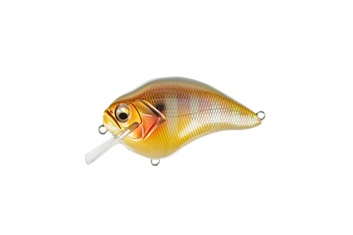 S Crank - Image 12