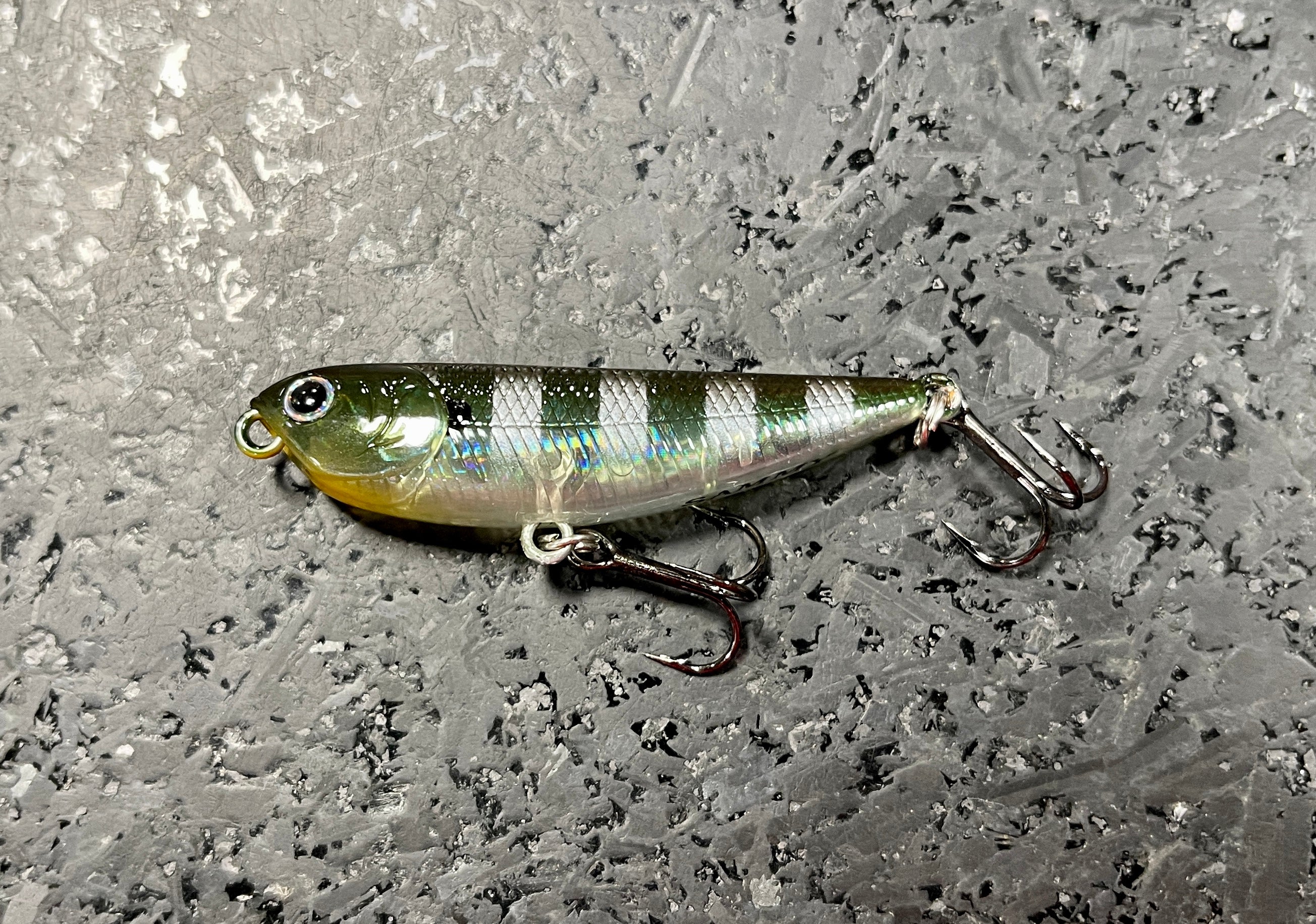 Sammy 55 - Image 6