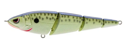 Sashimmy swimmer
