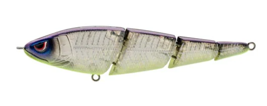 Sashimmy swimmer - Image 5