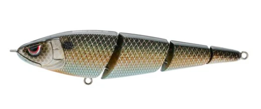 Sashimmy swimmer - Image 6