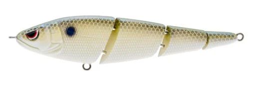 Sashimmy swimmer - Image 7