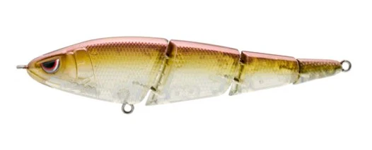 Sashimmy swimmer - Image 9