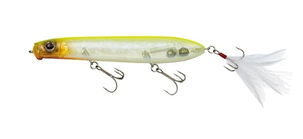 SB Topwater - Image 14