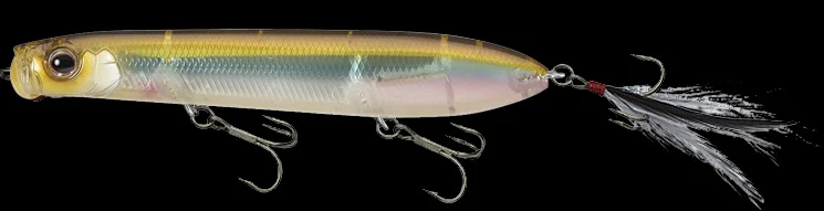 SB Topwater - Image 16