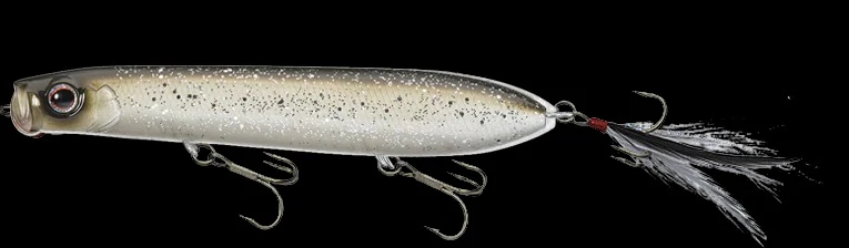 SB Topwater - Image 19