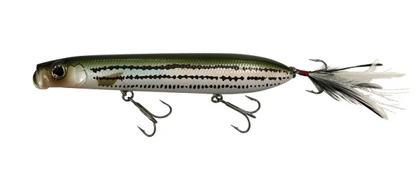 SB Topwater - Image 3