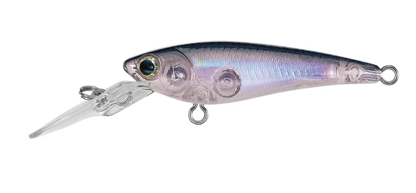 SC Shad 5 - Image 4