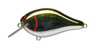 Shaker - Image 2