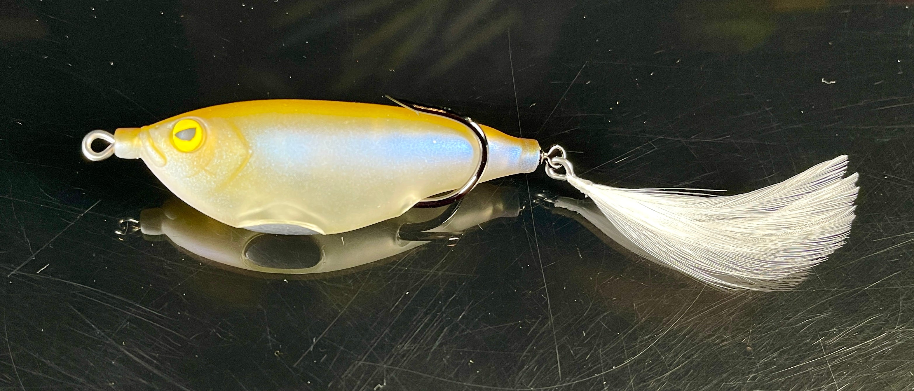 Sharker - Image 11