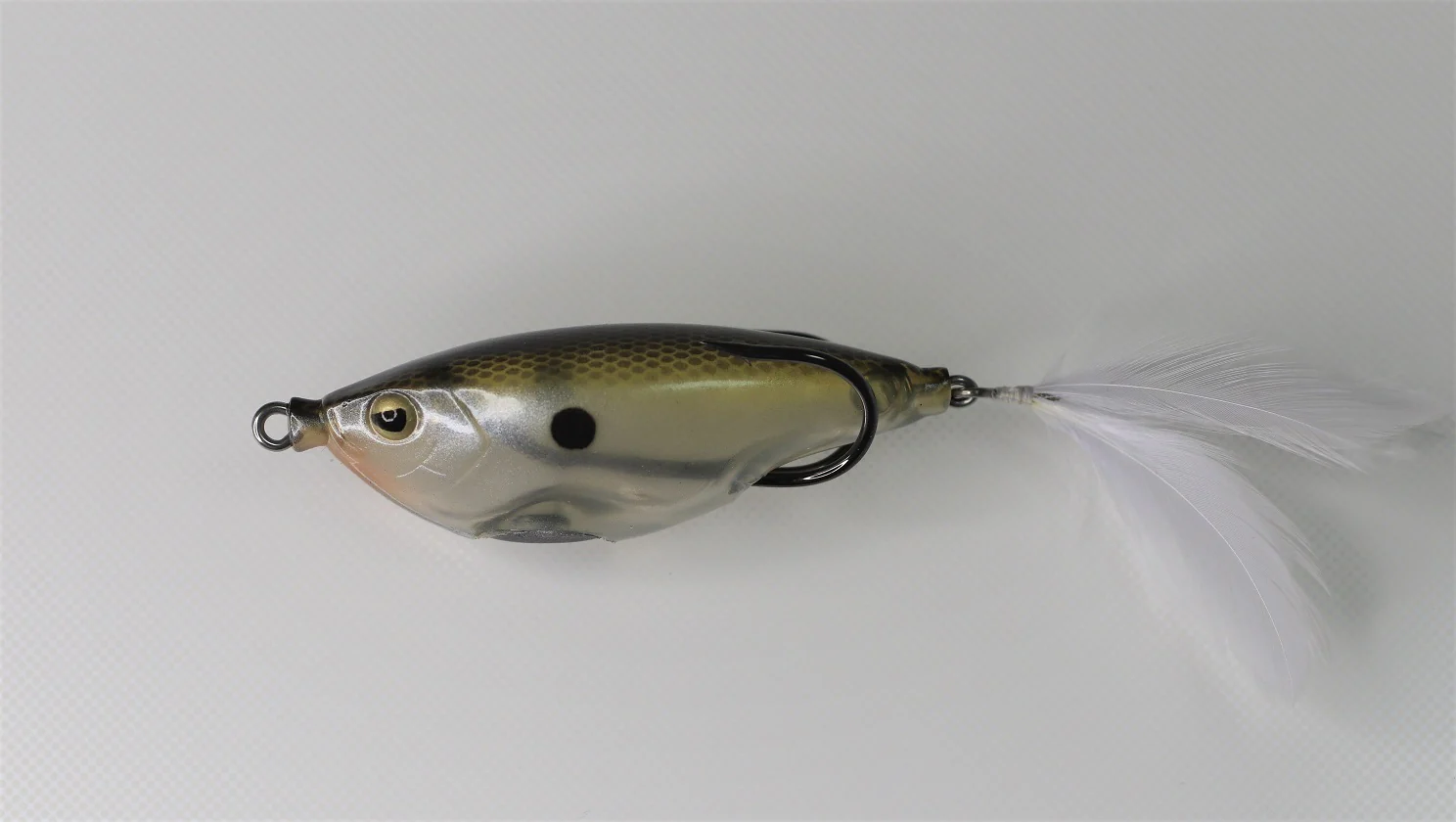 Sharker - Image 5