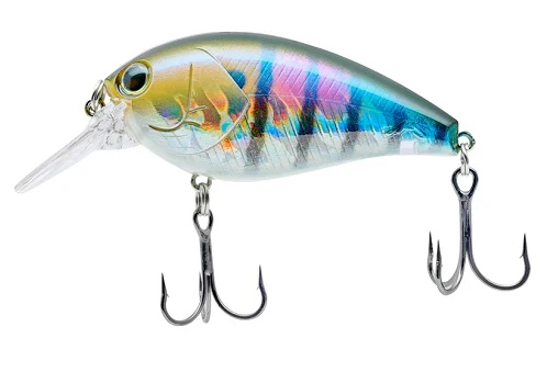 Shot Omega Big 62