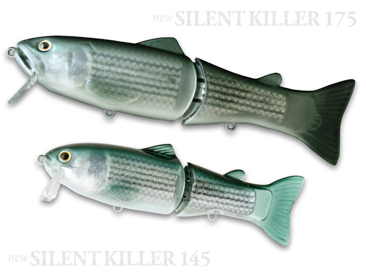 Silent Killer - Image 14
