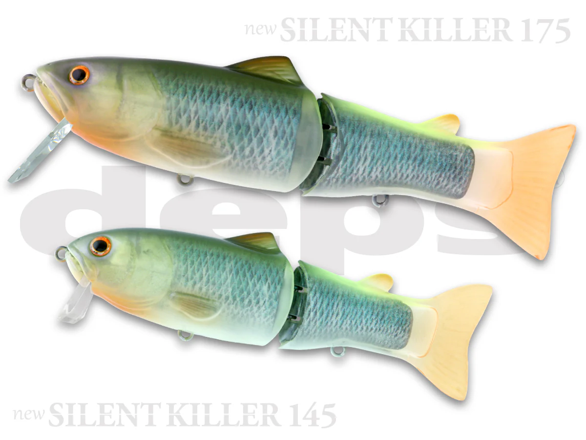 Silent Killer - Image 5