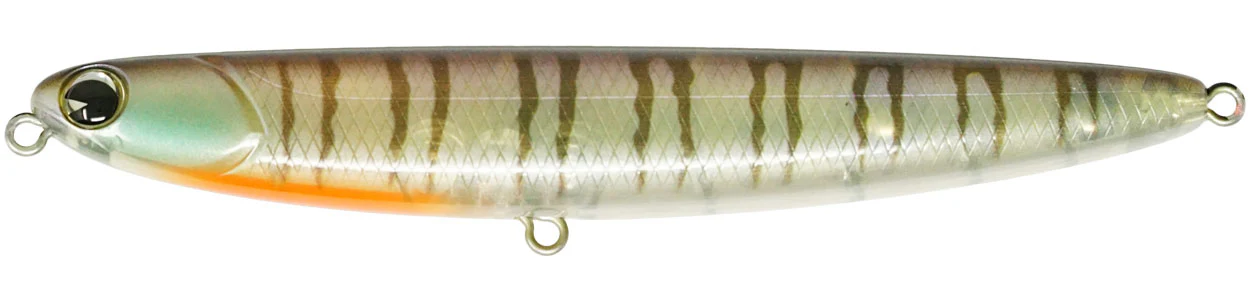 Skimmer - Image 13