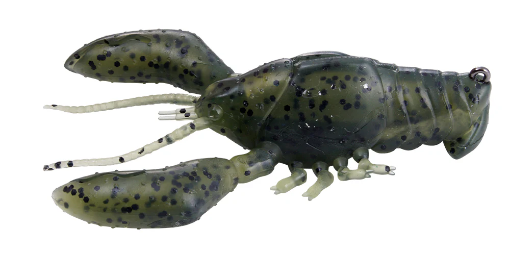 Sleeper Craw - Image 11