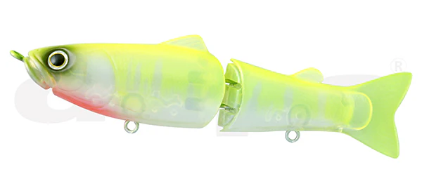 Slide Swimmer 115 - Image 4