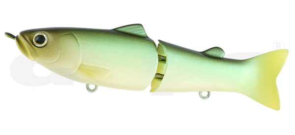 Slide Swimmer 115 - Image 5