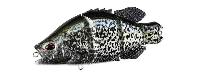 Snappy Crappie - Image 3