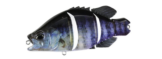 Snappy Crappie - Image 5