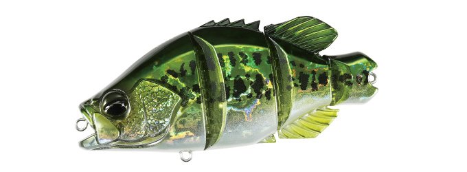 Snappy Crappie - Image 7