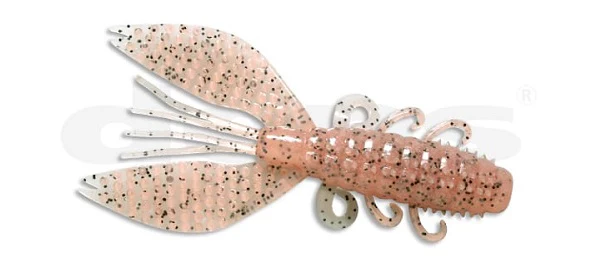Spiny Craw - Image 15